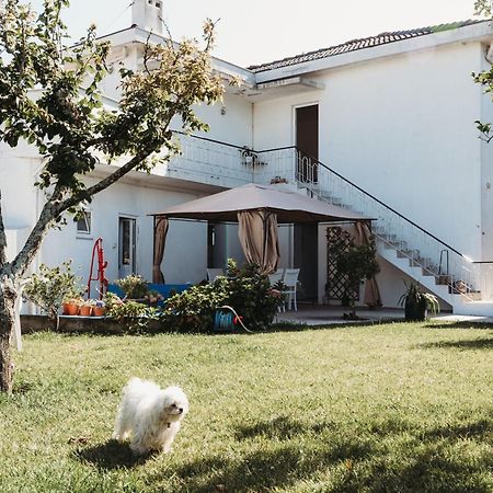 A Casa Da Estrela - Albergue De Peregrinos Fajozes Dış mekan fotoğraf